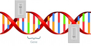 Gene and dimmer switch graphic
