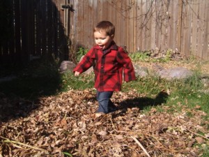 BS1969_JPG Young child walking through pile of leaves.
