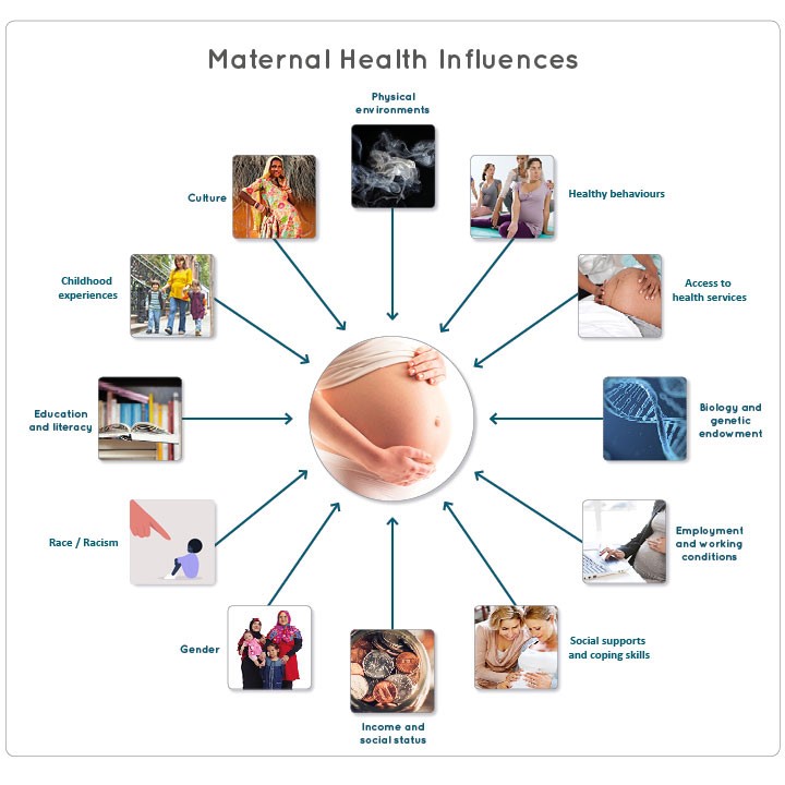 Title: Maternal Health Influences.
Graphic with 12 small images and labels circled around a pregnant abdomen. Clockwise from the 12:00 position: Physical environments, Healthy behaviours, Access to health services, Biology and genetic endowment, Employment and working conditions, Social supports and coping skills, Income and social status, Gender, Race/Racism, Education and literacy, Childhood experiences, and Culture.