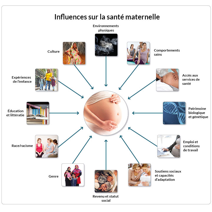 Title: Influences sur la santé maternelle.
Graphiques contenant 12 petites images et légendes entourant l’abdomen d’une personne enceinte. Dans le sens horaire à partir de midi : les environnements physiques, les comportements sains, l’accès aux services de santé, la biologie et le patrimoine génétique, l’emploi et les conditions de travail, le soutien social et la capacité d’adaptation, le revenu et le statut social, le genre, la race et le racisme, l’éducation et la littératie, les expériences vécues pendant l’enfance, et la culture.