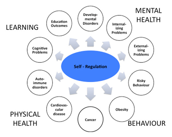 Nine labelled circles arranged around a central oval labelled, Self-Regulation. Clockwise from the 12:00 position are Developmental Disorders, Internalizing problems, and Externalizing Problems. The heading, Mental Health, is beside these circles. The next two circles, to the bottom right and with a heading of Behaviour, are, Risky Behaviour and Obesity. The next three circles, to the bottom left with the heading Physical Health, are Cancer, Cardiovascular disease, and Auto-immune disorders. The final two circles, top left with the heading Learning are Cognitive Problems, and Education Outcomes.