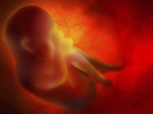 Fetus in womb.
